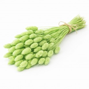 Flori uscate decorative Talaris Verde 60 cm